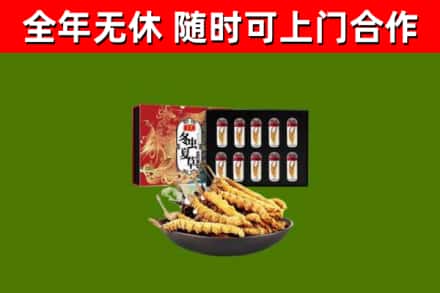 双辽回收冬虫夏草价格